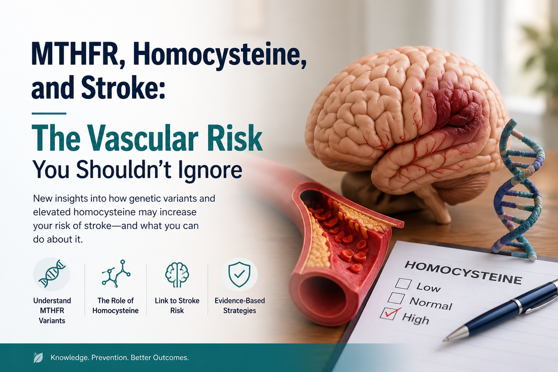 MTHFR, Homocysteine, and Stroke: The Vascular Risk Nobody Warned You About