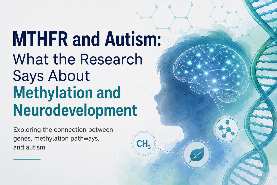 MTHFR and Autism: What the Research Says About Methylation and Neurodevelopment