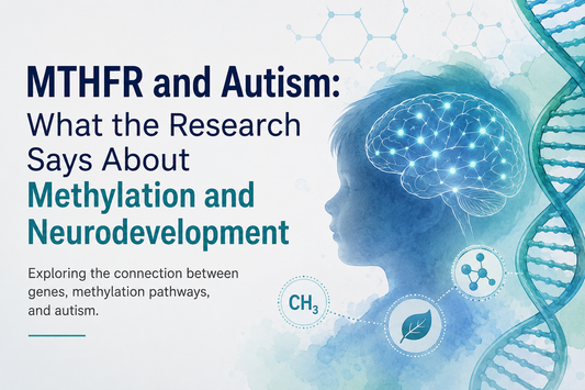 MTHFR and Autism: What the Research Says About Methylation and Neurodevelopment