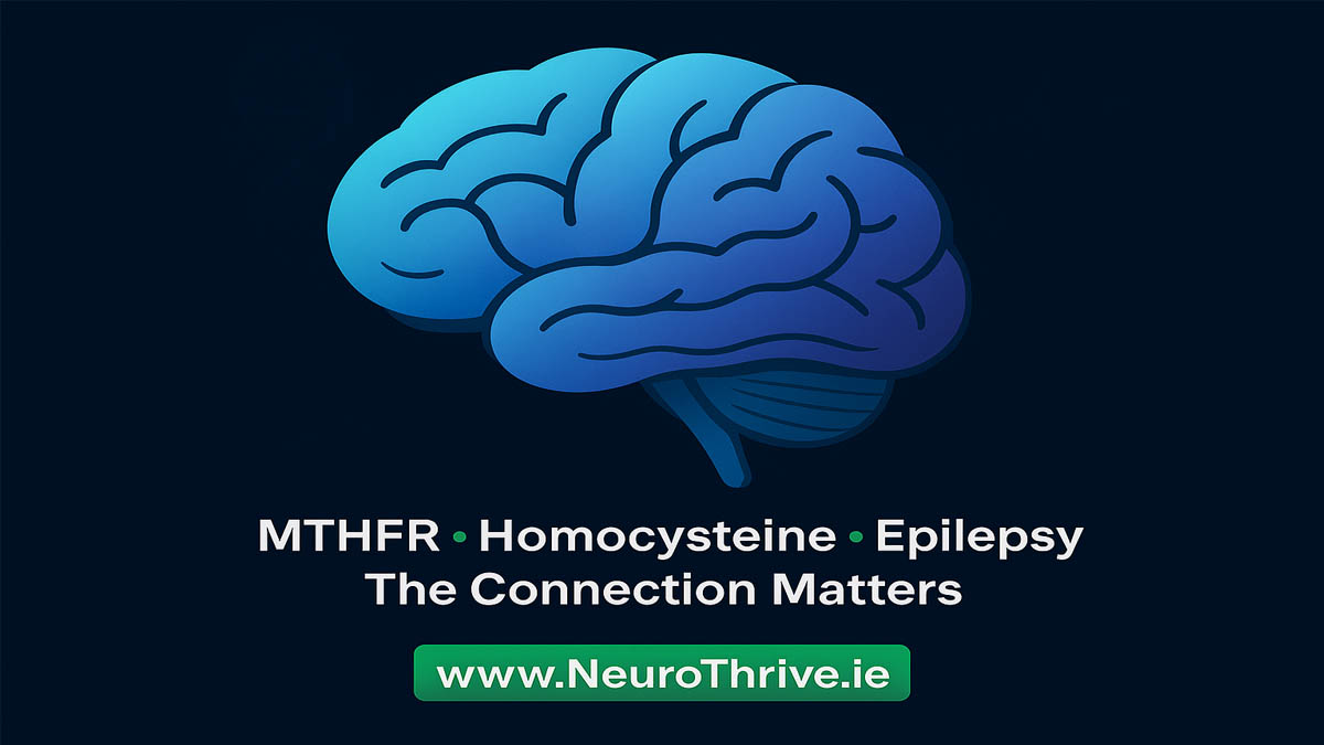 MTHFR, Homocysteine & Epilepsy: What the Research Says
