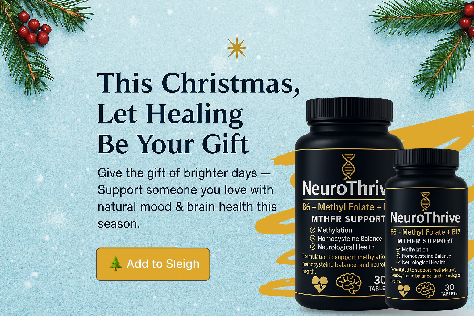 Give the Gift of Brighter Days – NeuroThrive