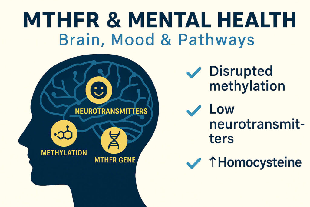 MTHFR & Psychiatric Disorders: What the Science Is Finally Showing